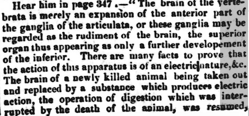 Original Newspaper Clipping
